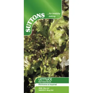 Lettuce - Red Salad Bowl (Seed)