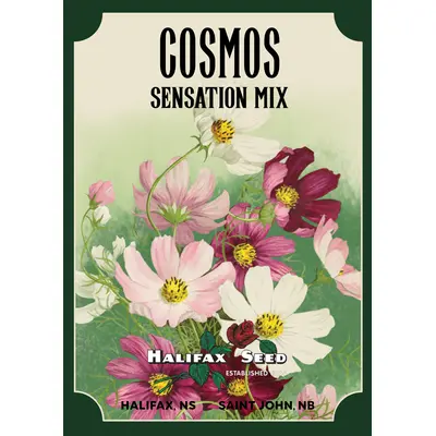Heritage Packet: Cosmos - Sensation Mix (Seed)