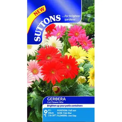 Gerbera Daisy - Cut Flower Mix (Seed)