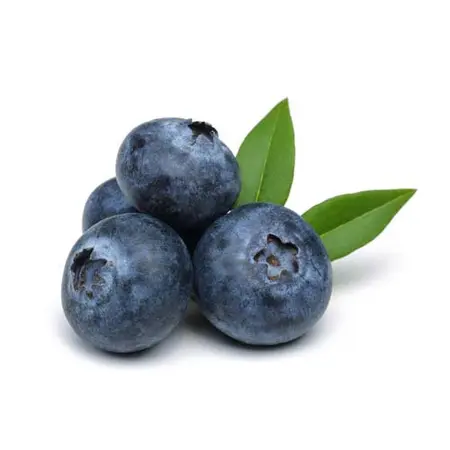 BLUEBERRIES OG | 30 LBS