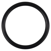 O-Ring (OR-PP-362)