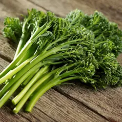 Broccolini - Aspabroc (Bulk Seed)
