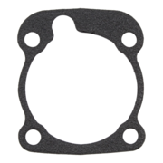 Gasket (P-62099)