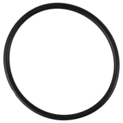 O-Ring (OR-PP-1021)