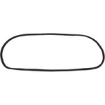 Windshield Gasket