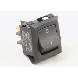 Switch, Rocker