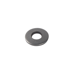 Tennant/Nobles - 4045119 - Washer, Belleville, .31 Ss (Replaces Tennant 1075287)
