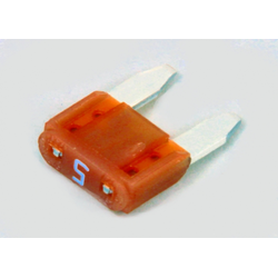 Fuse, 5 Amp
