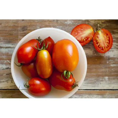 TOMATO ROMA/PLUM OG | 20 LBS