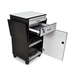 LUXOR WPSDD3 38" Mobile AV Presentation Station Cart
