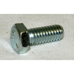 Screw