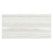 PLT2448 24x48 RECTANGULAR TOP- SILVER BIRCH