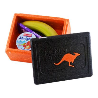 Kanga Box EX3075 Mini Transport Carrier