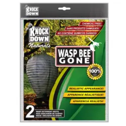 Kuus Wasp Bee Gone