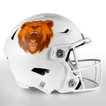 Matte Finish Football Helmet Decals