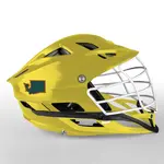 2 Color State Shape Decals