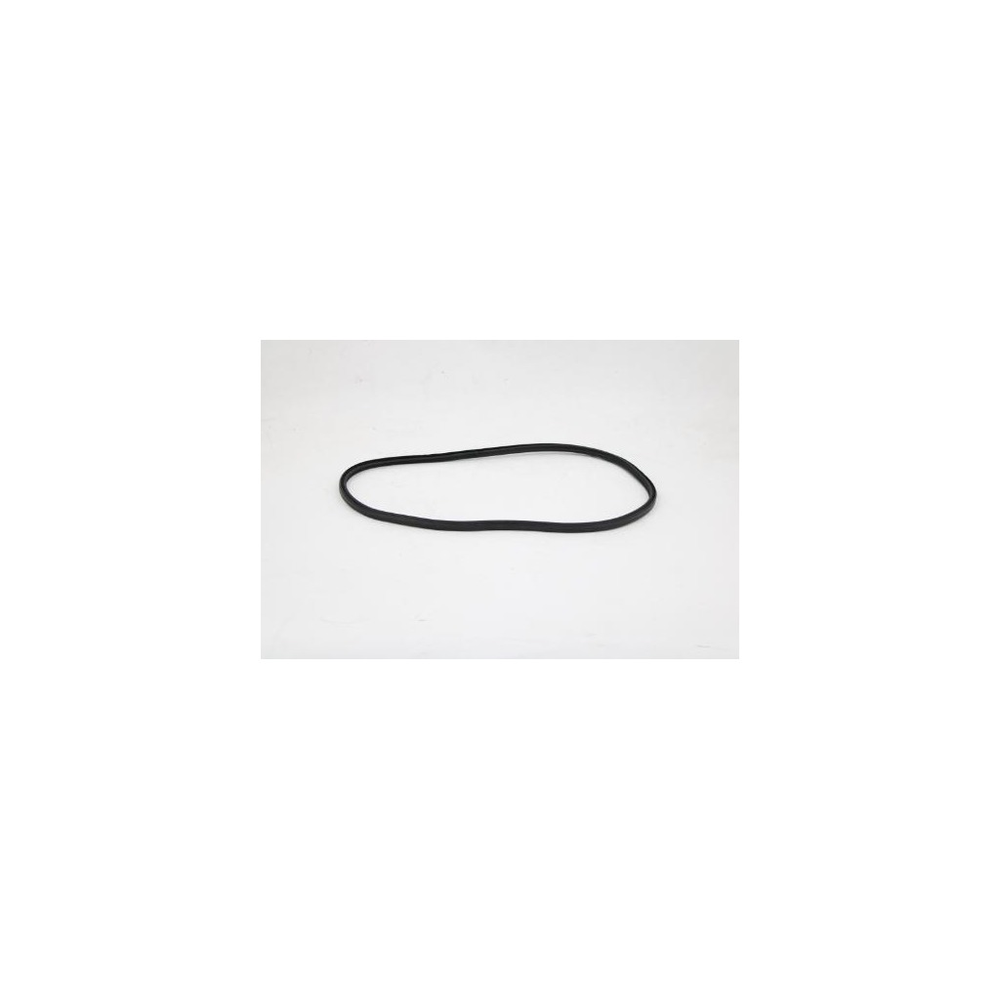 Nilfisk Advance - 302001432 - Gasket  Container