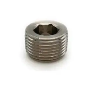 Hollow Hex Head Plug, 1/4-in Male NPTF, Stainless Steel