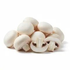 MUSHROOM WHITE OG | 6/8 OZ