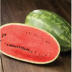 Watermelon - Valentino F1 (Bulk Seed)