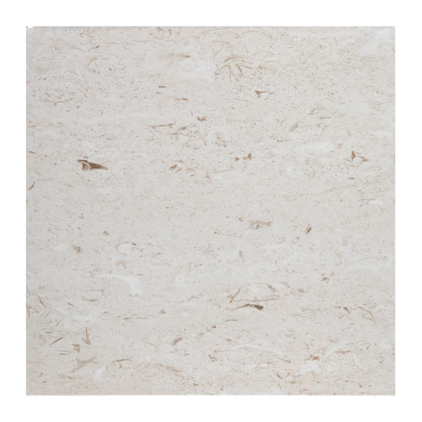 24X24 Shell Stone