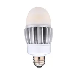 HID 20W - 5000K - A21 - E26 (20PK) - COMMERCIAL LED