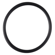 O-Ring (OR-PP-162)