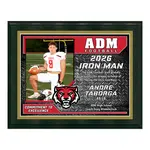 Deluxe Vividcolor AIO Award Plaques with Metal Border