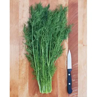 Herb - Dill - Greensleeves (Organic Seed)