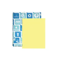 ** USE 12341234002697 **  8.5 X 11 20 LB CANARY DOMTAR EARTHCHOICE COPY PAPER, 81196, 500/RM 10 RM/CA