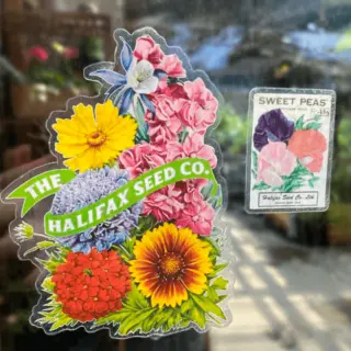 Stickers and Pins