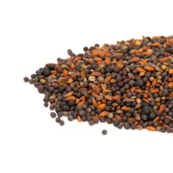 Mumm's Spicy Microgreen Sprouts