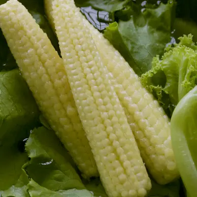 Corn - Minipop (Seed)