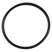 O-Ring (OR-PP-831)