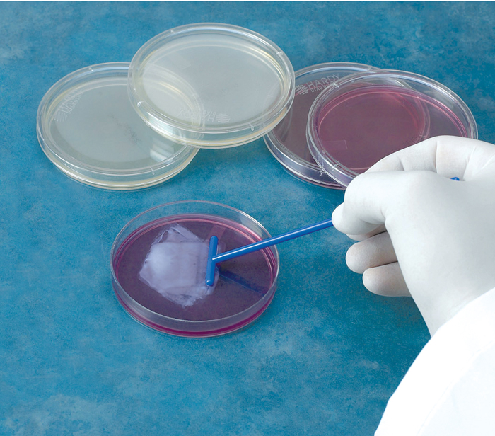 Sterile TShaped Cell Spreaders er Scientific