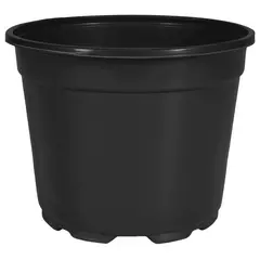 Euro Pot