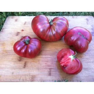 Tomato - Fred's Tie-Dye Heart (Seed)