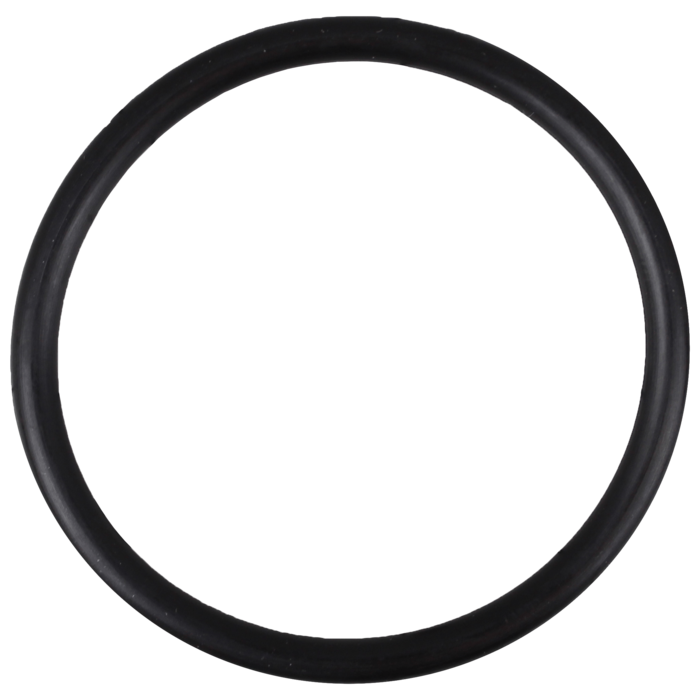 O-Ring (OR-PP-7077)