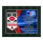 Standard Vividcolor AIO Award Plaques