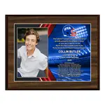 Deluxe Vividcolor AIO Award Plaques