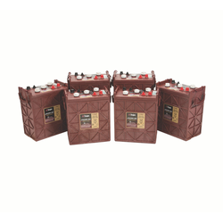 Tennant/Nobles - 4037044 - Battery Kit, Wet, 06Vdc 0360Ah, Ci (Replaces Tennant 222777)