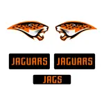 Custom Hockey Helmet Decal Sets