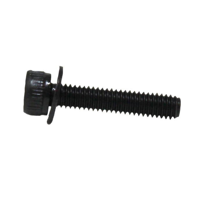 Bolt w/ Flat Washer (0138556)