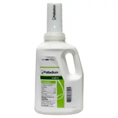 Palladium