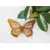 MONARCH BUTTERFLY