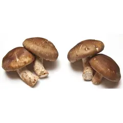 MUSHROOM SHIITAKE OG | 3 LBS