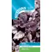 Herb - Basil - Round Midnight (Seed)