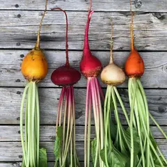 Beets