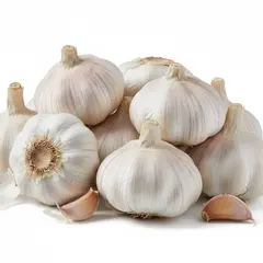 GARLIC WHOLE JUMBO OG | 30 LBS