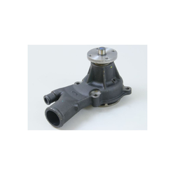 Water Pump W/Gasket